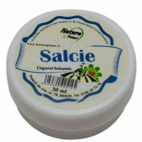 Unguent Balsamic Salcie 30ml - NATURA PLANT POIENI