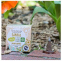 Conuri parfumate naturale Santal, indiene 12 bucati - Aromandise