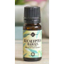 Ulei esential de Eucalipt Radiata 10ml - Mayam