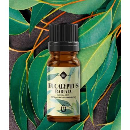 Ulei esential de Eucalipt Radiata, eco-bio, 10ml - Mayam