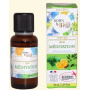 Complex de uleiuri esentiale, Meditatie, 30 ml, Born To Bio