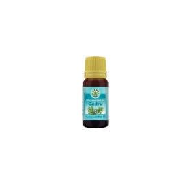 Ulei Esential De Cedru, uz Extern, 10ml - HERBAVIT