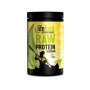 Pudra proteica Green Vanilla Superfood raw eco-bio 450g - Lifefood