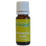 Ulei Odorizant Magnolie Alba 10ml - ONEDIA