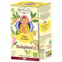 Ceai Shotimaa Chakras - Delighted - ghimbir si lamaie eco-bio 16dz - Shotimaa