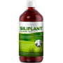 SILICIU G7 SILIPLANT - Siliciu organic extras din planta coada-calului, 1000ml - Silicium