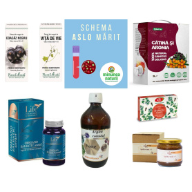 Schema ASLO marit - protocol de suplimente naturale ASLO