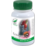 Echinaceea C, sustine sanatatea sistemului imunitar, 200 capsule, Medica - Pro Natura