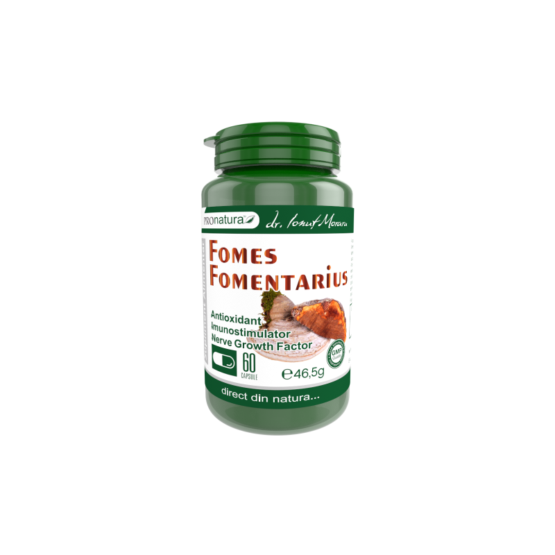 Fomes Fomentarius, ciuperca cu rol antioxidant, imunostimulator, 60