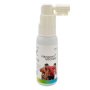 Spray anti - mahmureala, Hangover Recovery Spray cu Rodie, 30 ml, Medica - Pro Natura