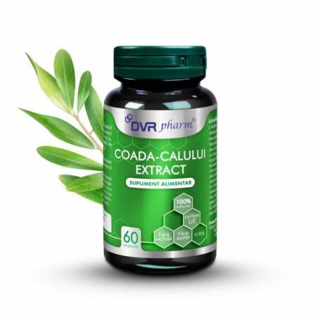 Coada-Calului extract, ajuta la mentinerea greutatii corporale, 60 capsule, DVR Pharm