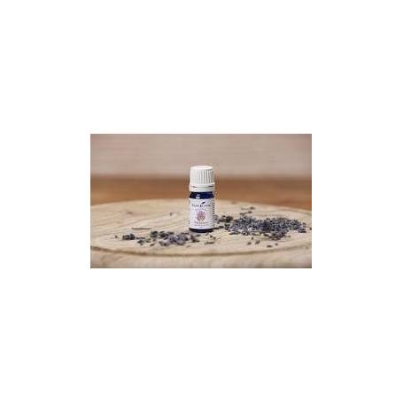 Ulei esential Wild Lavender(levantica salbatica) 5ml - YOUNG LIVING