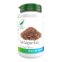 Sarsaparilla, cu rol depurativ si diuretic, 40 capsule, Medica - Pro Natura