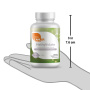 Methylfolat - Forma activa, stabila de Acid Folic, 60 capsule, Zahler - GNC