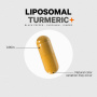 Turmeric Lipozomal Fermentat + Piper Negru, Curcumin Si Ghimbir, 90 capsule - Codeage  - GNC