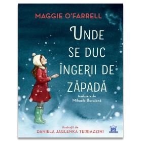Unde se duc ingerii de zapada - Carte - Editura DPH