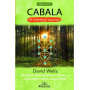 CABALA PE INTELESUL TUTUROR - DAVID WELLS - carte - Editura Prestige