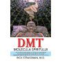 DMT - MOLECULA SPIRITULUI - RICK STRASSMAN, M.D. - carte - Editura Prestige