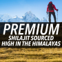 Shilajit, Rasina Pura De Shilajit Din Himalaya, 60 capsule, Nugenix - GNC