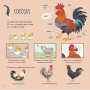 Ce stii despre puii de animale de la ferma? - Carte - Editura DPH