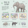 Ce stii despre puii de animale salbatice? - Carte - Editura DPH