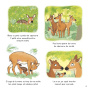 Ce stii despre puii de animale salbatice? - Carte - Editura DPH