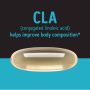 Total Lean CLA, Acid Linoleic Conjugat, 180 capsule, GNC