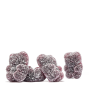 Chapter One: Iron, Formula cu Fier 5 mg, 60 Jeleuri, Zahler - GNC
