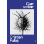 Cum scriem, Cristian Fulas - Carte - Curtea Veche