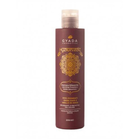 Sampon revitalizare culoare par saten, 200 ml – Hyalurvedic Gyada
