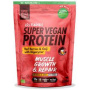 Pulbere proteica, dupa efort, cu fructe rosii si goji cu DigeZyme, 400 g, Iswari