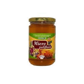 Miere poliflora, 400 g, Onedia