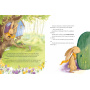 Secretul iepurasului Top-Top - Carte - Editura DPH