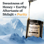 Himalayan Shilajit Honey Sticks, Pliculete de Shilajit din Himalaya si Miere Cu 75% Acid Fulvic, 30 bucati, Better Alt - GNC