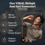 Pure Himalayan Shilajit Gummies, Jeleuri de Shilajit din Himalaya, 60 Jeleuri, Better Alt - GNC