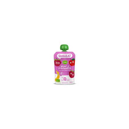 Piure din zmeura si iaurt grecesc, + 9 luni, eco-bio, 100 g, Smileat