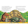 Micul Dragon Coconut - Sa nu iti fie teama! - Carte - Editura DPH