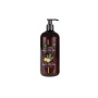 Sapun lichid organic cu extract de aloe arborescens, 500 ml, Naturaequa