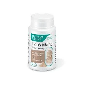 Lion's Mane, 500 mg, 30 capsule, Rotta Natura