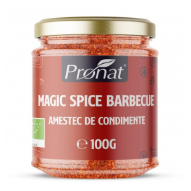 Amestec de condimente Magic Spice Barbeque,  eco-bio, 100 g, Pronat