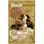 Trezirea la o viata extraordinara - Ramtha - Carte - Editura Prestige