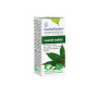 Ulei esential de Dafin nobil, eco-bio, 5 ml, Essentialaroms