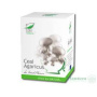 Ceai Agaricus Blazei, 20 doze, Medica - ProNatura