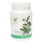 Ceai Alb, efect antioxidant, 60 capsule, Medica - ProNatura