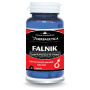 FALNIK - performanta sexuala masculina, 30 capsule, Herbagetica