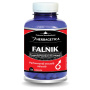 FALNIK - performanta sexuala masculina, 120 capsule, Herbagetica