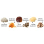 Organic Myco Synergy 6 ciuperci Pure Grade Extracts Powder, 1000 mg, 60 g, MushroomsForLife