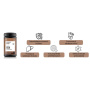 Organic Reishi Cacao Latte Pure Grade Extract, 1000 mg, 140 grame, 20 portii, MushroomsForLife
