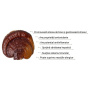 Organic Reishi Spore Powder, 1000 mg, 60 grame, MushroomsForLife