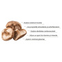 Organic Shiitake, Pure Grade Extract Powder, 1000 mg, 60 grame, MushroomsForLife